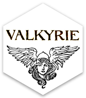 <span itemprop="name">Valkyrie logo</span>
